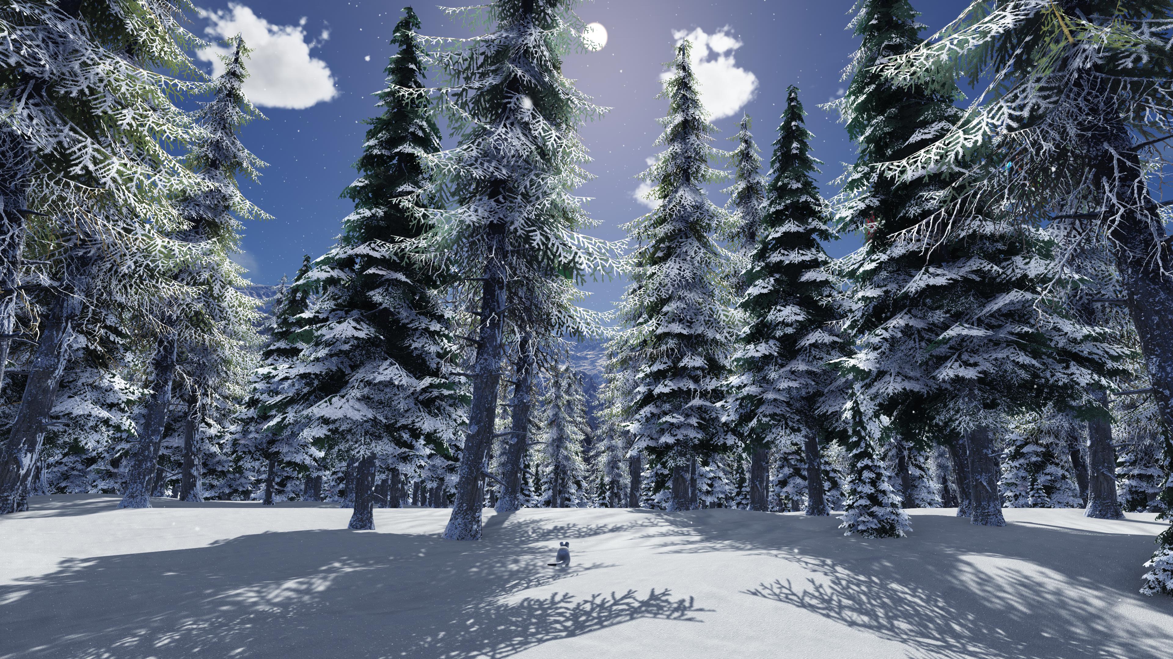 Paysage d'hiver - Entrée de la forêt enneigée