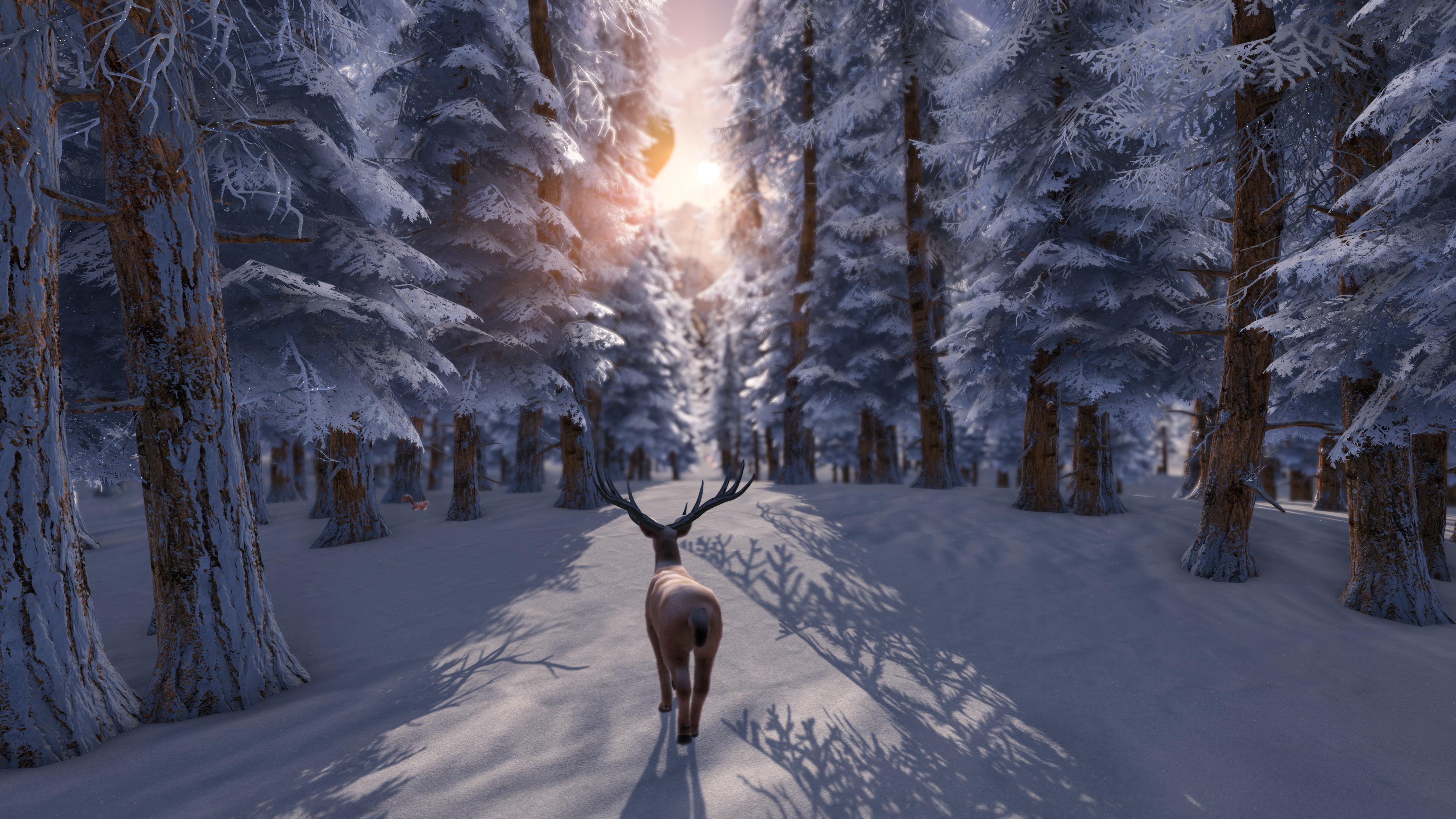 Paysage d'hiver - Cerf élaphe dans la forêt enneigée