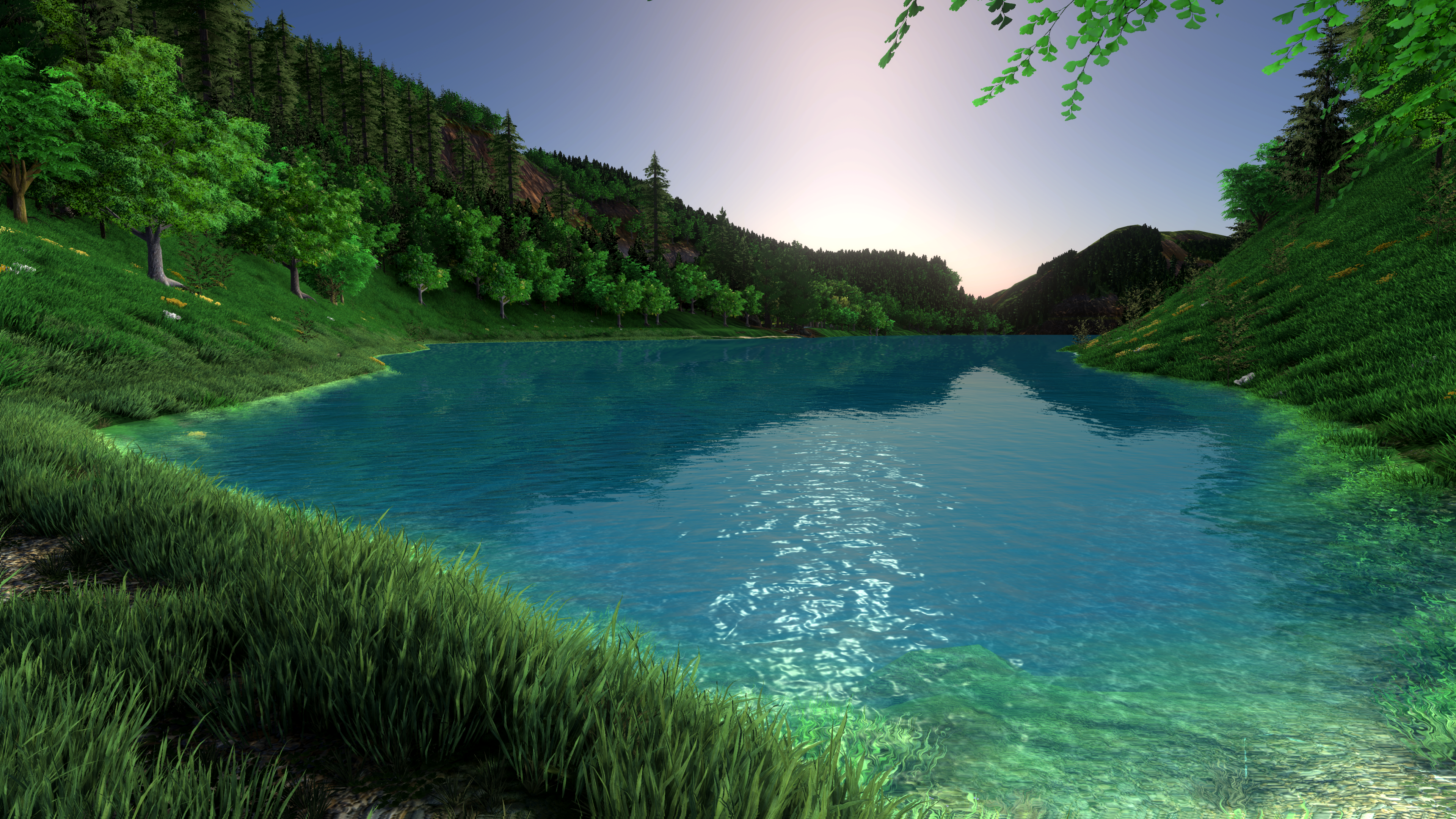 Forest - Lake View
